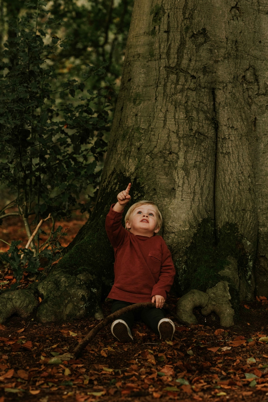 FIH Fotografie » Magische bos shoot